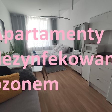 Apartament Elblag Goodenergy - Stare Miasto, Oldtown, Altstadt מראה חיצוני תמונה